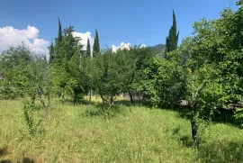იყიდება მიწის ნაკვეთი, არა სასოფლო - სამეურნეო, მცხეთა