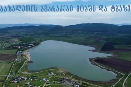 იყიდება მიწის ნაკვეთი, სასოფლო - სამეურნეო, ბაზალეთი 