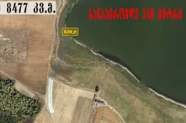იყიდება მიწის ნაკვეთი, სასოფლო - სამეურნეო, ბაზალეთი 