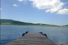 იყიდება მიწის ნაკვეთი, სასოფლო - სამეურნეო, ბაზალეთი 