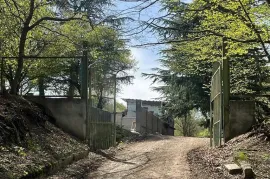 იყიდება მიწის ნაკვეთი, არა სასოფლო - სამეურნეო, ცხვარიჭამია