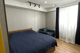 ქირავდება ბინა დღიურად, 1 ოთახიანი, ახალი აშენებული, ბორჯომი, ბაკურიანი