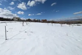 იყიდება მიწის ნაკვეთი, თელათგორი