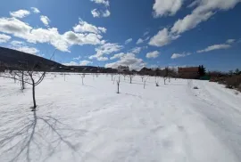 იყიდება მიწის ნაკვეთი, თელათგორი