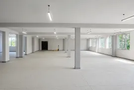 For Rent, Industrial area, Old Rustavi
