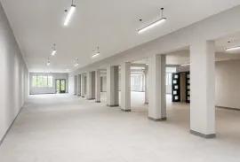 For Rent, Industrial area, Old Rustavi