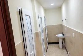 For Rent, Industrial area, Old Rustavi