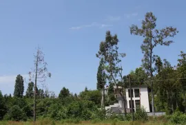 იყიდება სახლი, 4 ოთახიანი, ქობულეთი, ჩაქვი