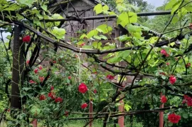 House For Sale, 5 Room, Lanchkhuti, Jikhanjiri