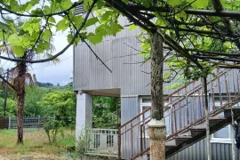 House For Sale, 5 Room, Lanchkhuti, Jikhanjiri