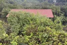 House For Sale, 5 Room, Lanchkhuti, Jikhanjiri