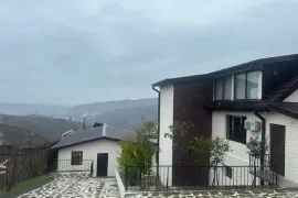 House For Sale, 8 Room, Suburbs of Tbilisi, Napetvrebi