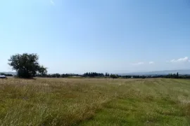 იყიდება მიწის ნაკვეთი, სასოფლო - სამეურნეო, ვაზიანი 