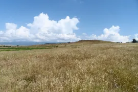 იყიდება მიწის ნაკვეთი, სასოფლო - სამეურნეო, ვაზიანი 