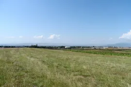 იყიდება მიწის ნაკვეთი, სასოფლო - სამეურნეო, ვაზიანი 