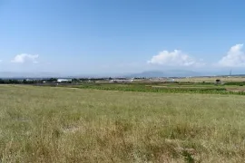 იყიდება მიწის ნაკვეთი, სასოფლო - სამეურნეო, ვაზიანი 
