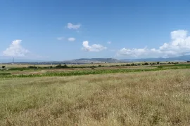 იყიდება მიწის ნაკვეთი, სასოფლო - სამეურნეო, ვაზიანი 