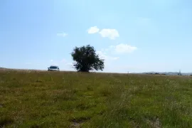 იყიდება მიწის ნაკვეთი, სასოფლო - სამეურნეო, ვაზიანი 