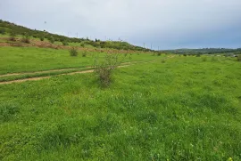 Продается Земля, Сельскохозяйственные, Озеро Лиси