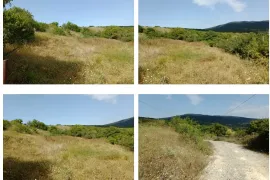 იყიდება მიწის ნაკვეთი, ახალი ოსები