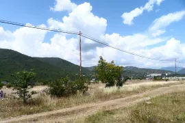 იყიდება მიწის ნაკვეთი, სასოფლო - სამეურნეო, არაგვისპირი