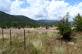 იყიდება მიწის ნაკვეთი, სასოფლო - სამეურნეო, არაგვისპირი