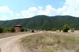 იყიდება მიწის ნაკვეთი, სასოფლო - სამეურნეო, არაგვისპირი