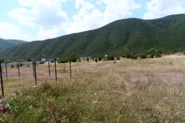 იყიდება მიწის ნაკვეთი, სასოფლო - სამეურნეო, არაგვისპირი