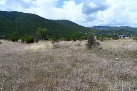 იყიდება მიწის ნაკვეთი, სასოფლო - სამეურნეო, არაგვისპირი