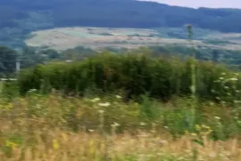 იყიდება მიწის ნაკვეთი, სასოფლო - სამეურნეო, გორანა 
