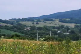 იყიდება მიწის ნაკვეთი, სასოფლო - სამეურნეო, გორანა 