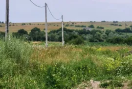 იყიდება მიწის ნაკვეთი, სასოფლო - სამეურნეო, გორანა 