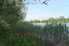 იყიდება მიწის ნაკვეთი, არა სასოფლო - სამეურნეო