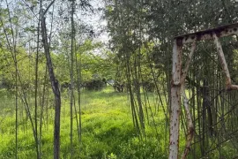იყიდება მიწის ნაკვეთი, არა სასოფლო - სამეურნეო