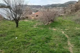 Land For Sale, Agricultural, Gldani village