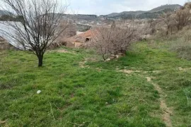 Land For Sale, Agricultural, Gldani village