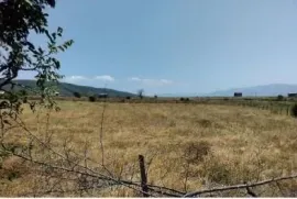 იყიდება მიწის ნაკვეთი, სასოფლო - სამეურნეო, ერედა
