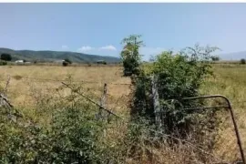 იყიდება მიწის ნაკვეთი, სასოფლო - სამეურნეო, ერედა