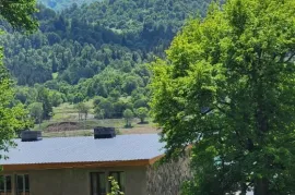 იყიდება მიწის ნაკვეთი, სასოფლო - სამეურნეო, ბაკურიანი