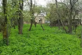 იყიდება მიწის ნაკვეთი, სასოფლო - სამეურნეო, ორბეთი 