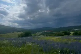 იყიდება მიწის ნაკვეთი, სასოფლო - სამეურნეო, ტაბახმელა