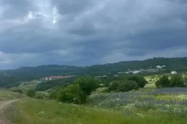 იყიდება მიწის ნაკვეთი, სასოფლო - სამეურნეო, ტაბახმელა
