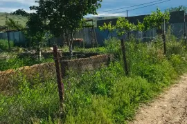 Land For Sale, Agricultural, Gardabani
