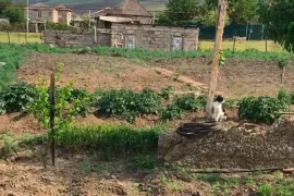 Land For Sale, Agricultural, Gardabani
