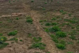 Land For Sale, Agricultural, Gardabani