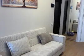 ქირავდება ბინა, 1 ოთახიანი, ახალი აშენებული, თბილისი, დიდი დიღომი