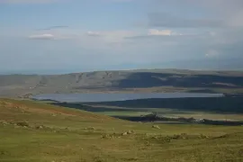 Land For Sale, Agricultural, Tabakhmela