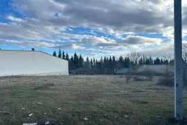 იყიდება მიწის ნაკვეთი, სასოფლო - სამეურნეო, ლილო