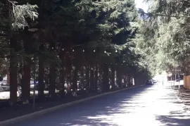 ქირავდება ბინა დღიურად, 1 ოთახიანი, ახალი აშენებული, ბორჯომი, ბაკურიანი