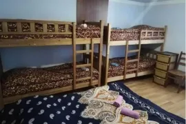 ქირავდება სახლი დღიურად, 16 ოთახიანი, ბორჯომი, ბაკურიანი